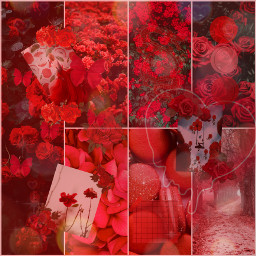 red redaesthetic background redbackground fyp rozes roze pretty freetoedit ccredaesthetic2021 redaesthetic2021