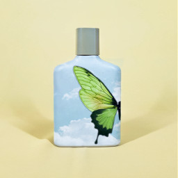freetoedit sky butterfly flask bottle blue green ircmypersonalbrandedbottle mypersonalbrandedbottle