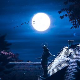 followmeplease night samurai vibe purple blue rooftop tree birds moon blur freetoedit