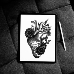 freetoedit heart drawing blackandwhite tablet stylus interesting art anatomy flower plants ircgetcreative getcreative