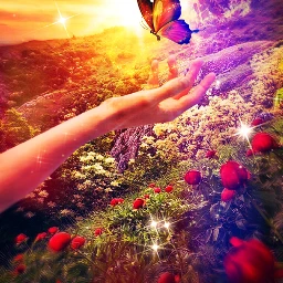 myedit fantasy fantasyart butterfly sunset fairy magic magical glitter prism prismeffect light beautiful makewithpicsart picsart freetoedit ircthereachinghand thereachinghand