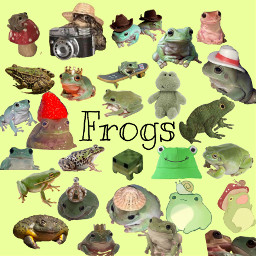 freetoedit cute frogs wildlife froggy aesthetic picsart