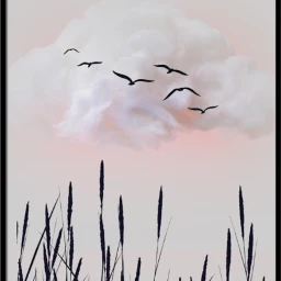 freetoedit cloud birds ircgentlecloud gentlecloud
