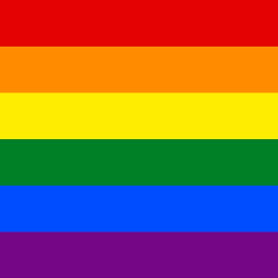pride prideflag flag lgbt lgbtq lgbtqplus lgbtpride gay gayflag gaypride rainbowflag rainbow freetoedit