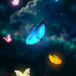 butterfly edit skyblue freetoedit