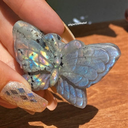 labradorite butterfly crystal carving crystalcarving crystals