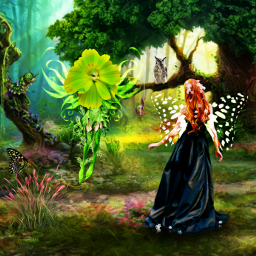 mastershoutout pixie fairy fantasy fantasyart imagination freetoedit default