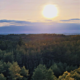 freetoedit photography landscape forest sunset