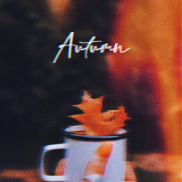 freetoedit fall autumn aesthetic fallaesthetic autumnaesthetic orange orangeaesthetic interesting mug warm soft sincerlythatgirl