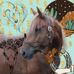 background stickers pony horse hemi edit myart freetoedit ecpatternbackgrounds2021 patternbackgrounds2021