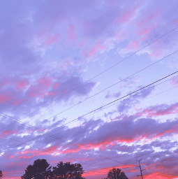 freetoedit daisysquad ridaphotography sunset pink purple trees picsart viral followme