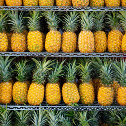 freetoedit pineapple