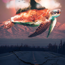 nature turtle freedom edit challenge remix moon bokeh beautifull freetoedit