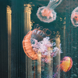 freetoedit interesting jellyfish surreal underwater like art nature sea water