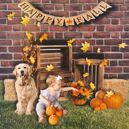 fallphotoshoot fall autumnleaves pumpkins baby dog props photography freetoedit remixit