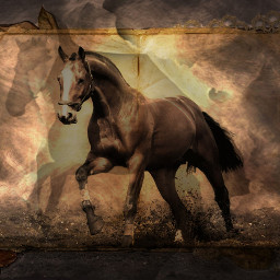 horses horse shadow horseshadow spooky dark cooledit editbackground freetoedit