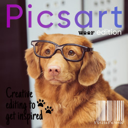 freetoedit challenge picsart magazinecover magazinedesign dog edit srcpicsartmagazinecover picsartmagazinecover