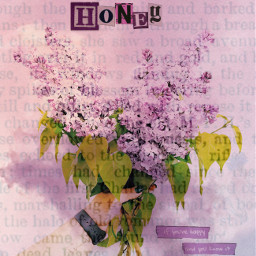 freetoedit lilac aedthetic flowers irclilacbeauty lilacbeauty