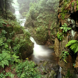 waterfall freetoedit pccolorgreen colorgreen