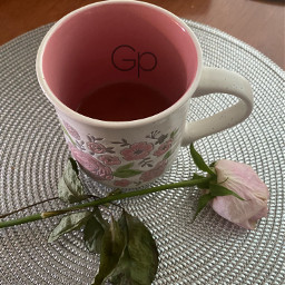 tea drink yummy flower rosepink allpink original lindo rosado pcobjectphotography objectphotography