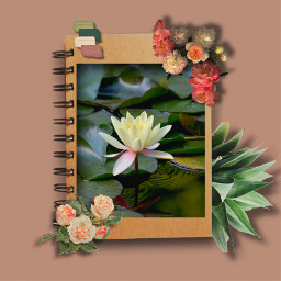 freetoedit calendar flowers searose viral viralpost art rcnotebookcover notebookcover