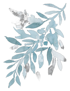 watercolor blue blueaesthetic lightblueaesthetic lightblue pastelblue babyblue scrapbook bulletjournal white plant botanical blueplant freetoedit