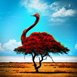 skyandclouds blueaesthetic green tree bird flamingo surrealism colorsplasheffect picsart challenge fcinnerartist innerartist freetoedit