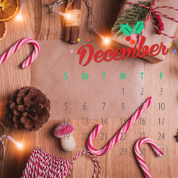 freetoedit decembercalendar calendar christmas srcdecembercalendar2021 decembercalendar2021