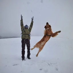 myphoto landscape winter snow dog boy mountain pcwhiteisee whiteisee