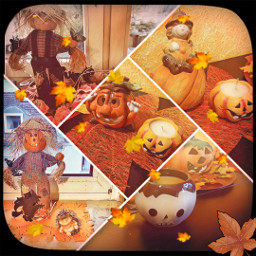 orange collage decoration autumn herbst photos october pumpkins freetoedit