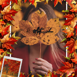 autumnvibes autumn orange orangeaesthetic leafs leaf plant view vibed edit frame love freetoedit ircautumnleaf autumnleaf