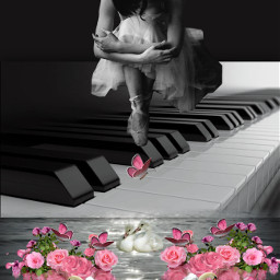 freetoedit ballerina swans sadballerina pianokeys kellydawn