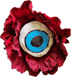 eye eyeball oneobject blossom freetoedit