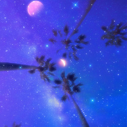 starrysky stars shine moon galaxy palmtrees unsplash myedit myart heypicsart makeawesome madewithpicsart madewithlove freetoedit