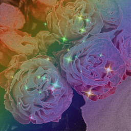 freetoedit beauty selfie butiful art rainbow flower