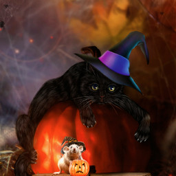 freetoedit manipulation madewithpicsart remix halloween happyhalloween trickortreat pumpkins cat amazing creative colochis89
happy colochis89