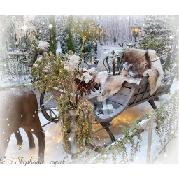 traineau rennes hiver forêt noël noël2021 migros aigle sled woodland raindeer christmas romantic winter