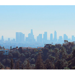 myphoto myphotography mypainting onthehills losangeles california treeline treetops foliage architecture builtstructures homes bulidings silhouettes throughthehaze againstthesky bluesky scenicview travelphography bordered paint edit