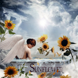 mastershoutout photoremix photoediting sunflowers heaven angel bathe sunshine sunflowerangel freetoedit