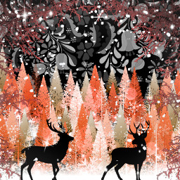 animal outdoor winter winterwonderland pictures bild art dark dunkel freetoedit