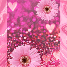 freetoedit pink flowers gerberaflower gerbera pinkaesthetic pinks eccolorpink colorpink
