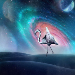 galaxy flamingo surreal desert freetoedit cosmic