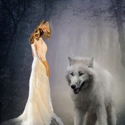 stickereditet women wolf fairy mystical mystisch freetoeditremix wenkeart freetoedit