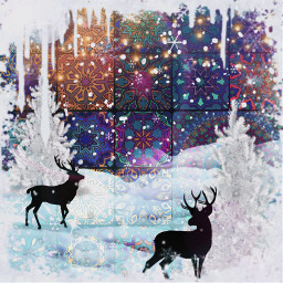 winter snow wintertime winterwonderland art bild picture magic freetoedit