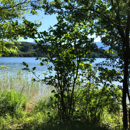 freetoedit nature lake summer
