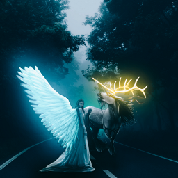angel horse forrest wood jungle fantasy lady girl magic freetoedit