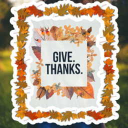 freetoedit thanksgiving thankful givethanks leaves leavesfalling nature autumn autumnleaves november2021 novemberchallenge ircgivethanks