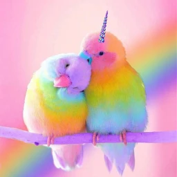 freetoedit animal unicorndisguise rainbowparrot cute srcunicorndisguise