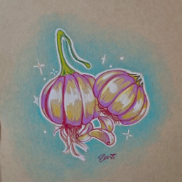garlic vegetable drawing sketch sketchbook illustration pencildrawing colourful pink traditionalart traditionaldrawing freetoedit