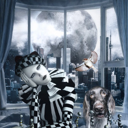 freetoedit chess girl arlequin dog bird night moon window fantasyart alienized wallpaper uhd picsarteffects editedwithpicsart